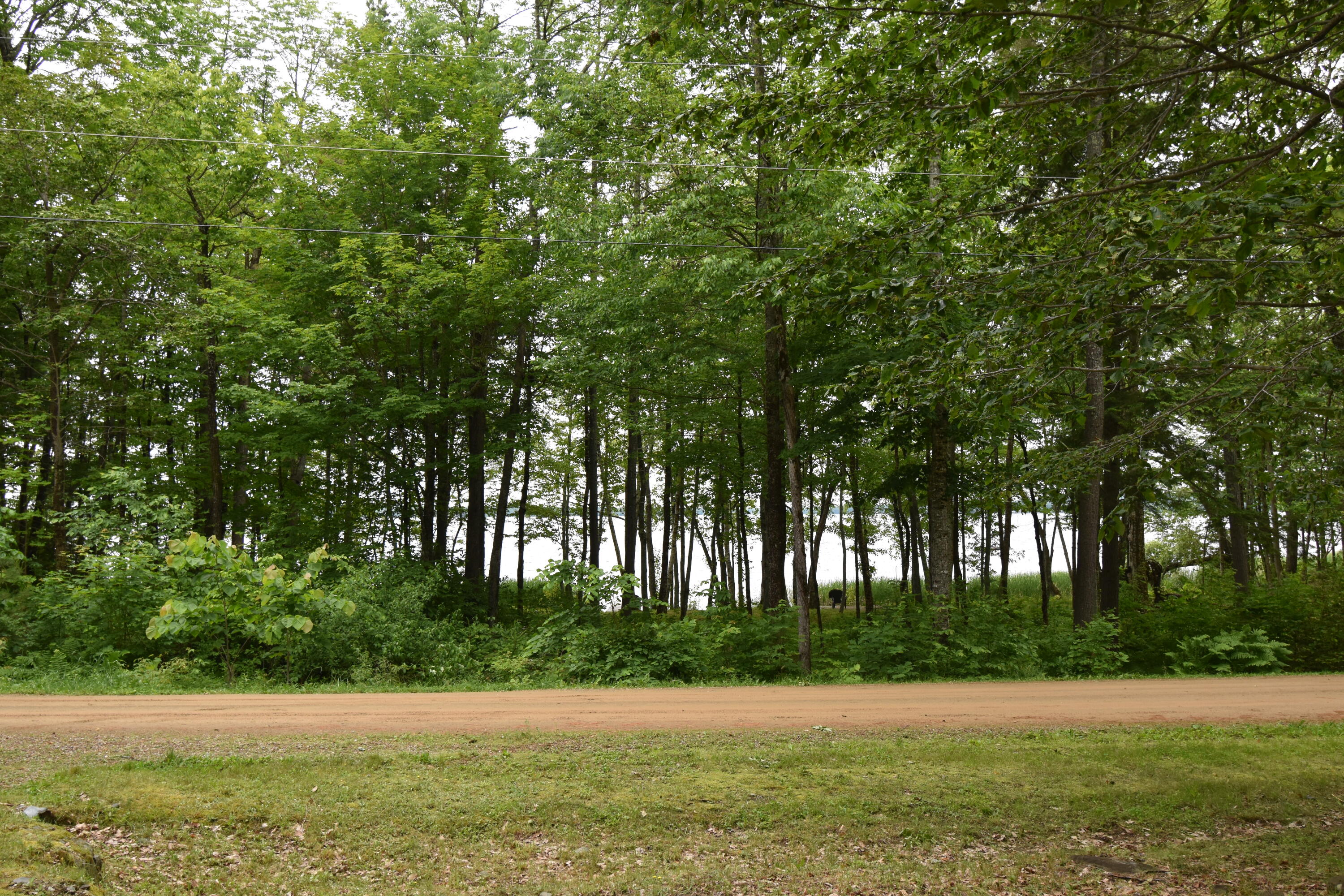 106 Shady Lane Newport ME 04953