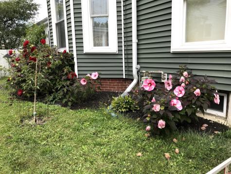 200 Maple Street Bangor ME 04401