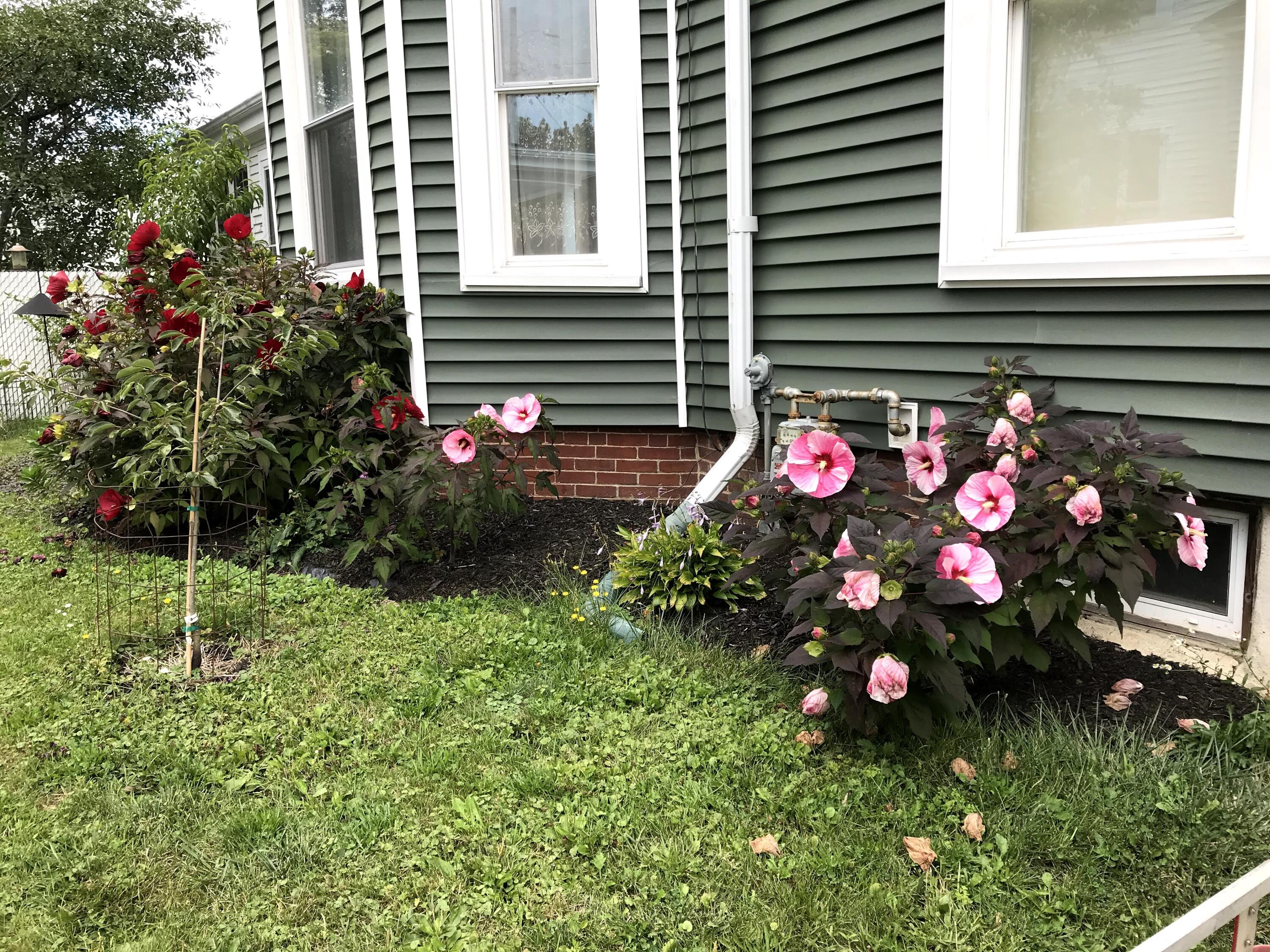 200 Maple Street Bangor ME 04401