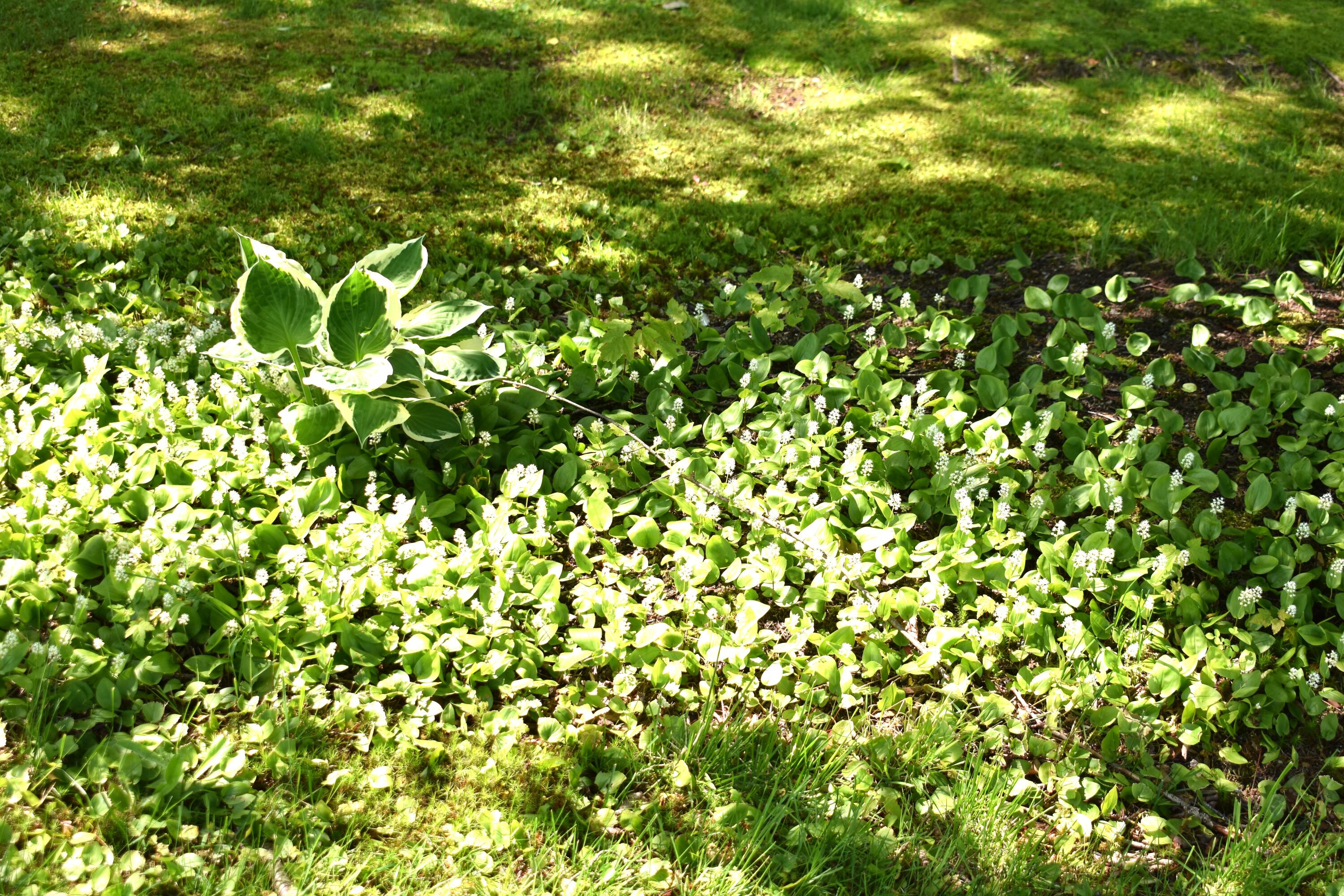 19 Pendleton Road Searsport ME 04974