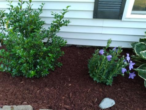 19 Pendleton Road Searsport ME 04974