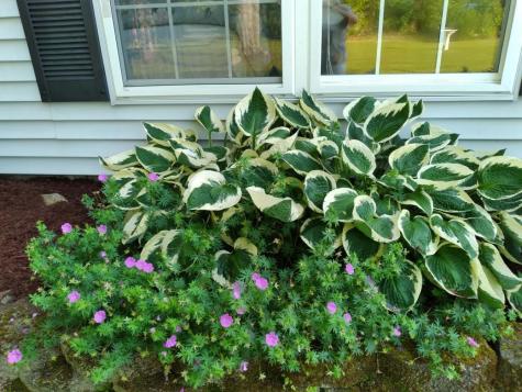 19 Pendleton Road Searsport ME 04974