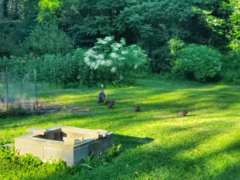 56 Durham Road Brunswick ME 04011