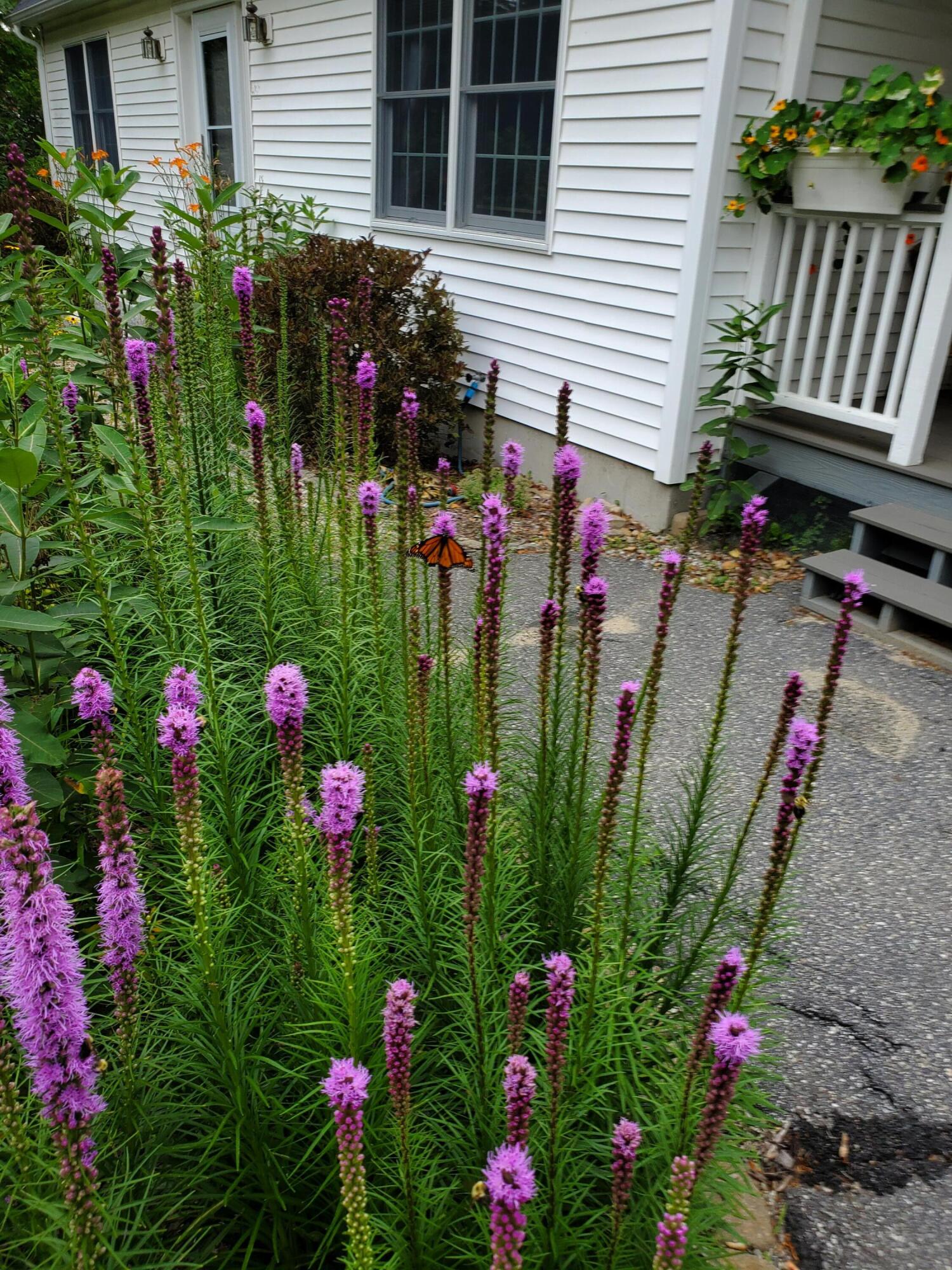 56 Durham Road Brunswick ME 04011