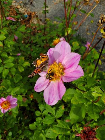 56 Durham Road Brunswick ME 04011