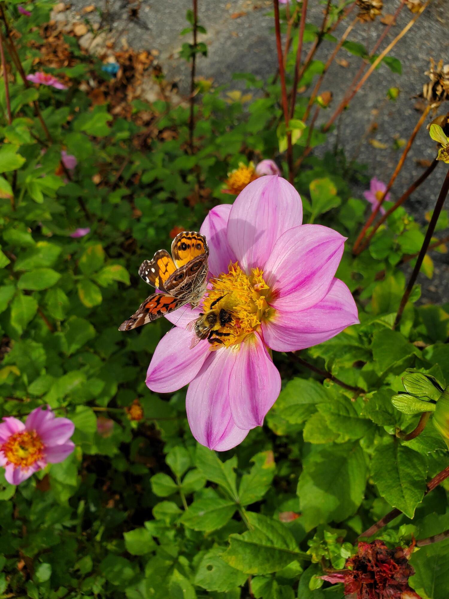 56 Durham Road Brunswick ME 04011