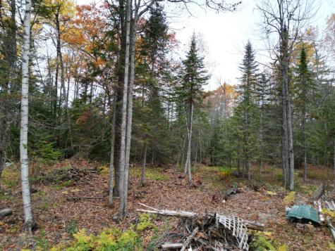 20 Oake Lane Howland ME 04448