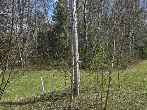 631 Crystal Road Crystal ME 04747