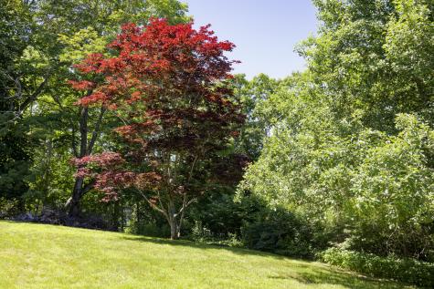 239 Ocean Point Road Boothbay ME 04544