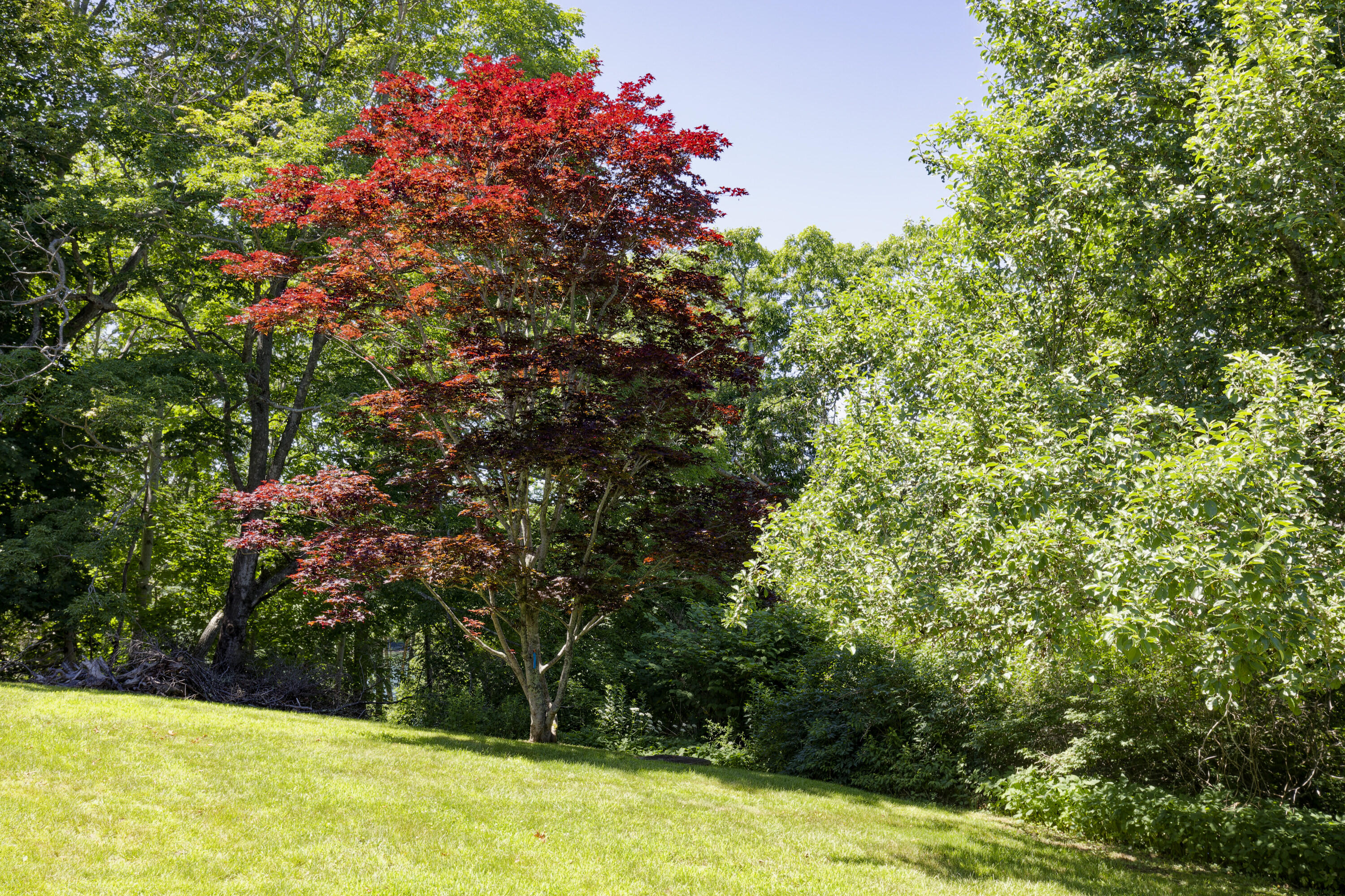 239 Ocean Point Road Boothbay ME 04544