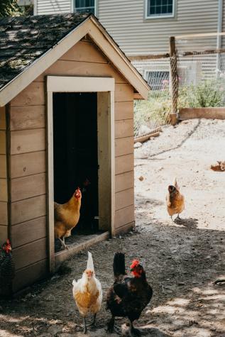 706 Scribner Hill Road Otisfield ME 04270