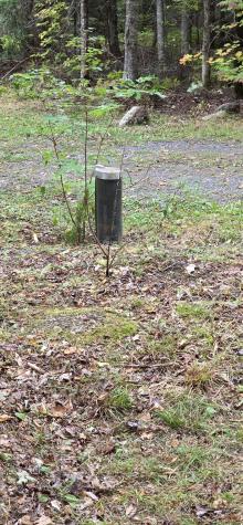 9 Jerry's Road Masardis ME 04732