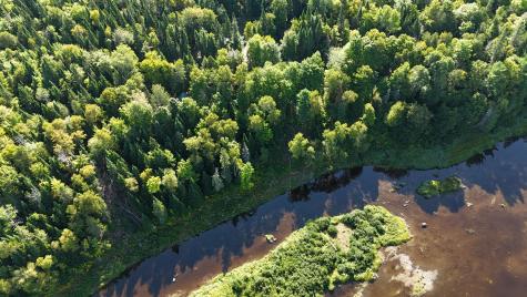 9 Jerry's Road Masardis ME 04732