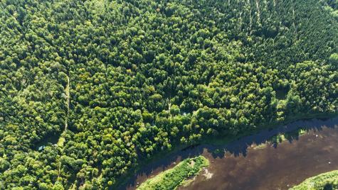 9 Jerry's Road Masardis ME 04732