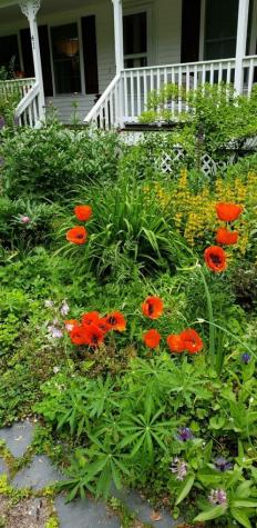 41 Homestead Drive Wells ME 04090