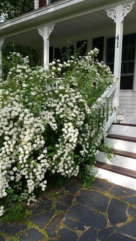 41 Homestead Drive Wells ME 04090