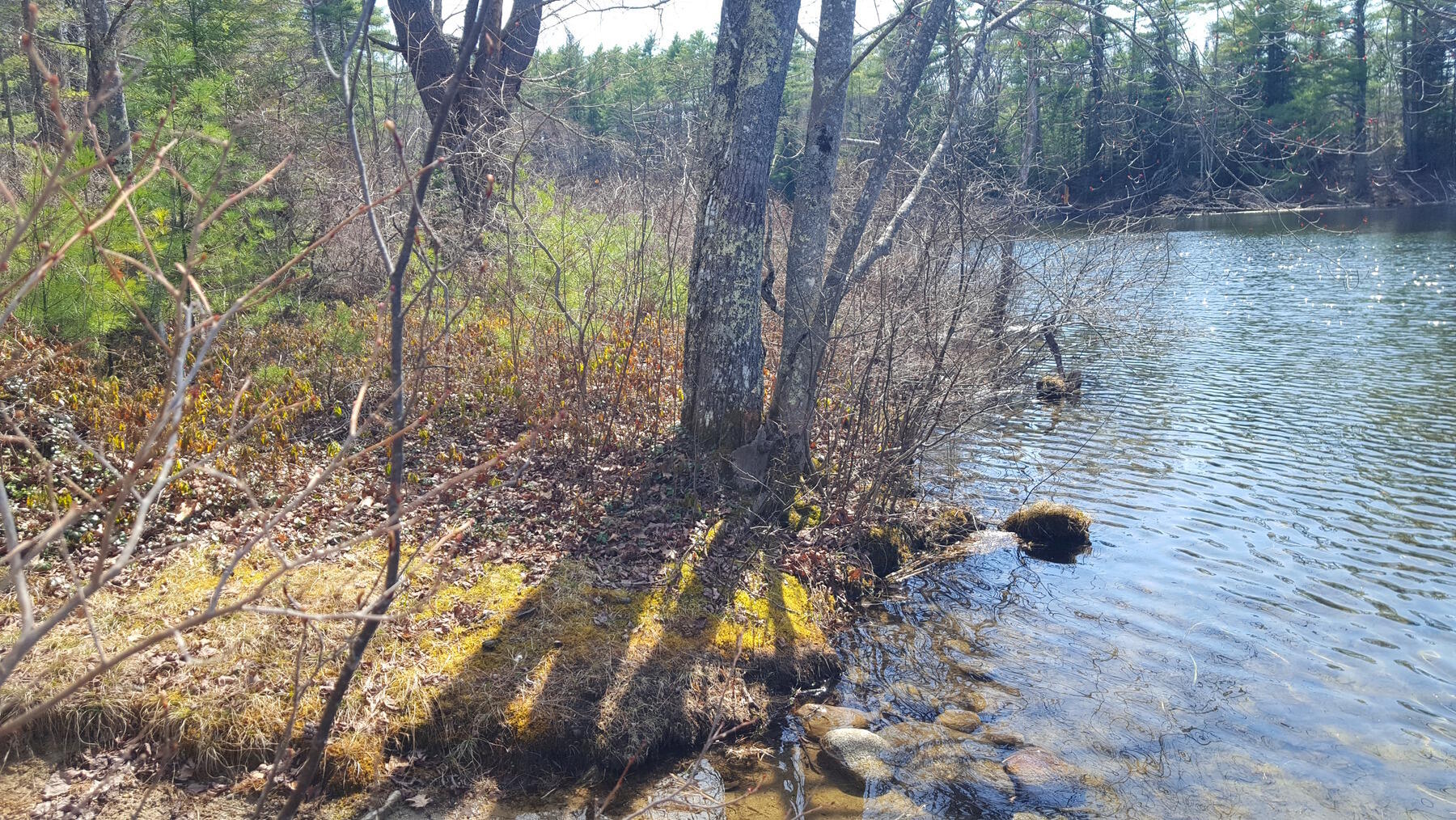 594 River Road Windham ME 04062