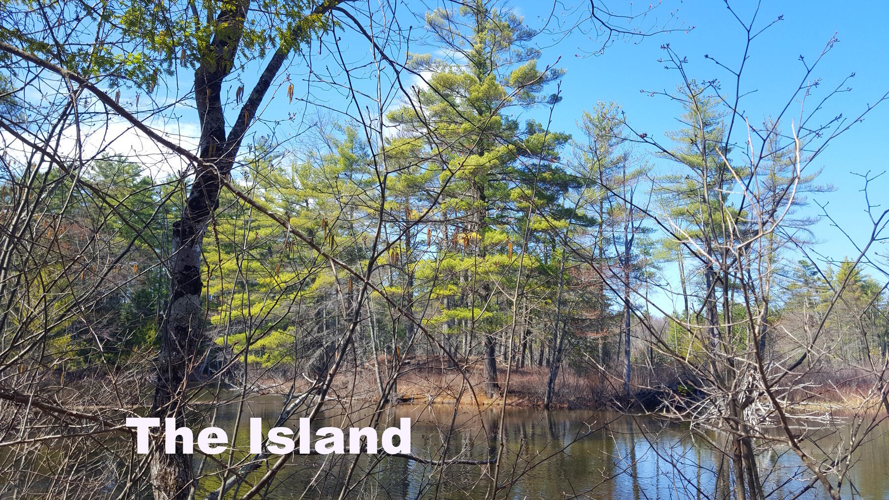 594 River Road Windham ME 04062