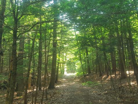 594 River Road Windham ME 04062