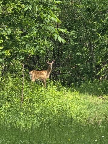 594 River Road Windham ME 04062