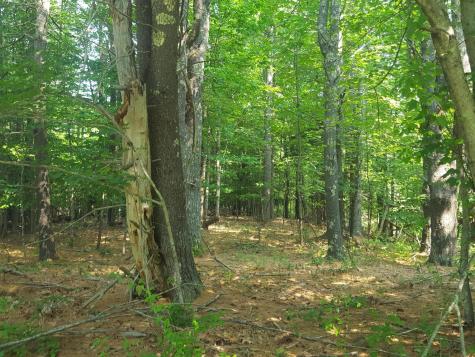 594 River Road Windham ME 04062