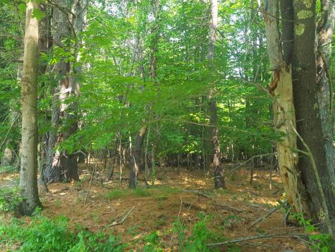 594 River Road Windham ME 04062