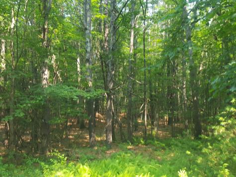 594 River Road Windham ME 04062