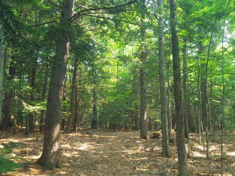 594 River Road Windham ME 04062