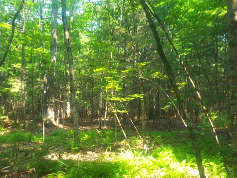 594 River Road Windham ME 04062