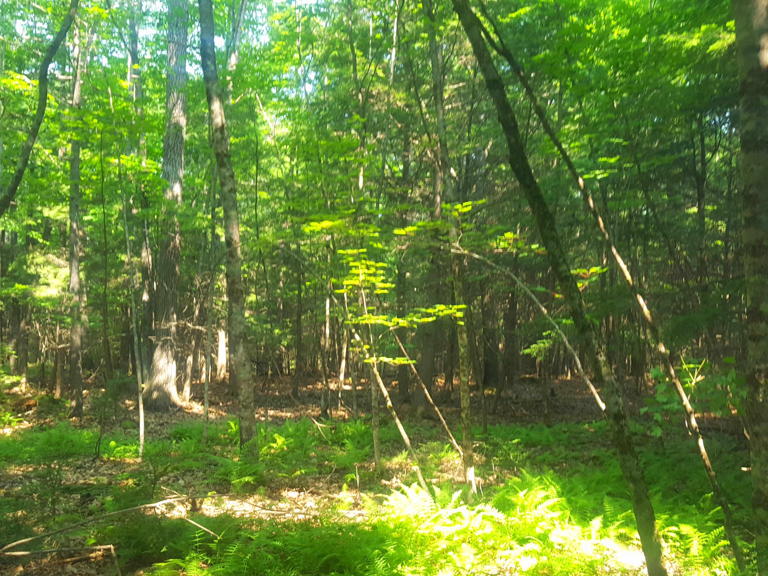 594 River Road Windham ME 04062