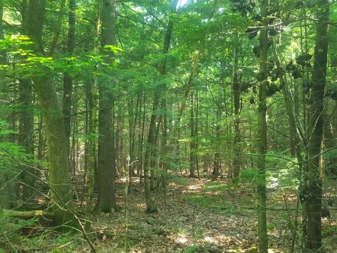 594 River Road Windham ME 04062