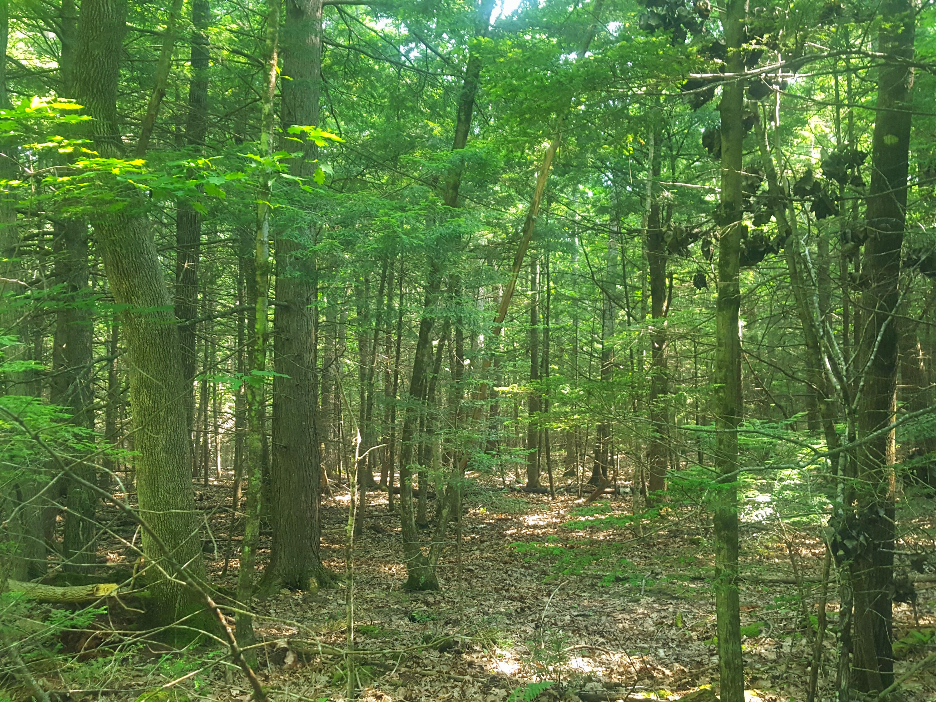 594 River Road Windham ME 04062