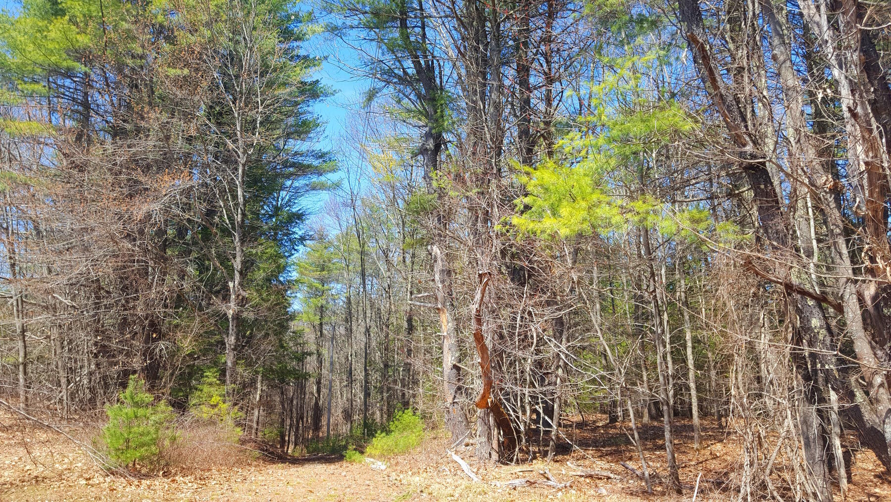 594 River Road Windham ME 04062
