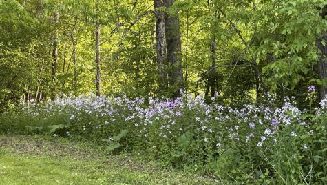 40 Justin Lane Hermon ME 04401