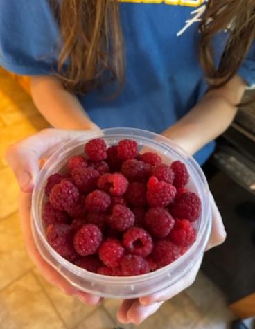 40 Justin Lane Hermon ME 04401