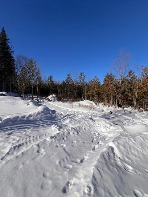 709 Fire Road Linneus ME 04730