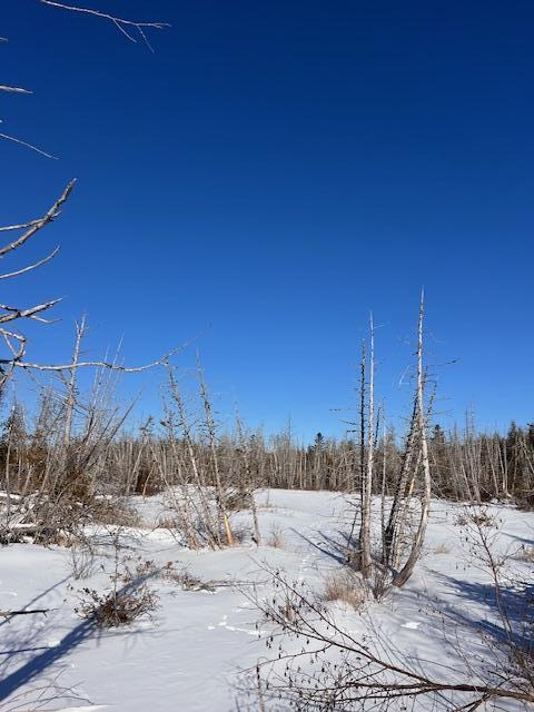 709 Fire Road Linneus ME 04730
