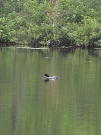 146 Lone Indian Trail Augusta ME 04330