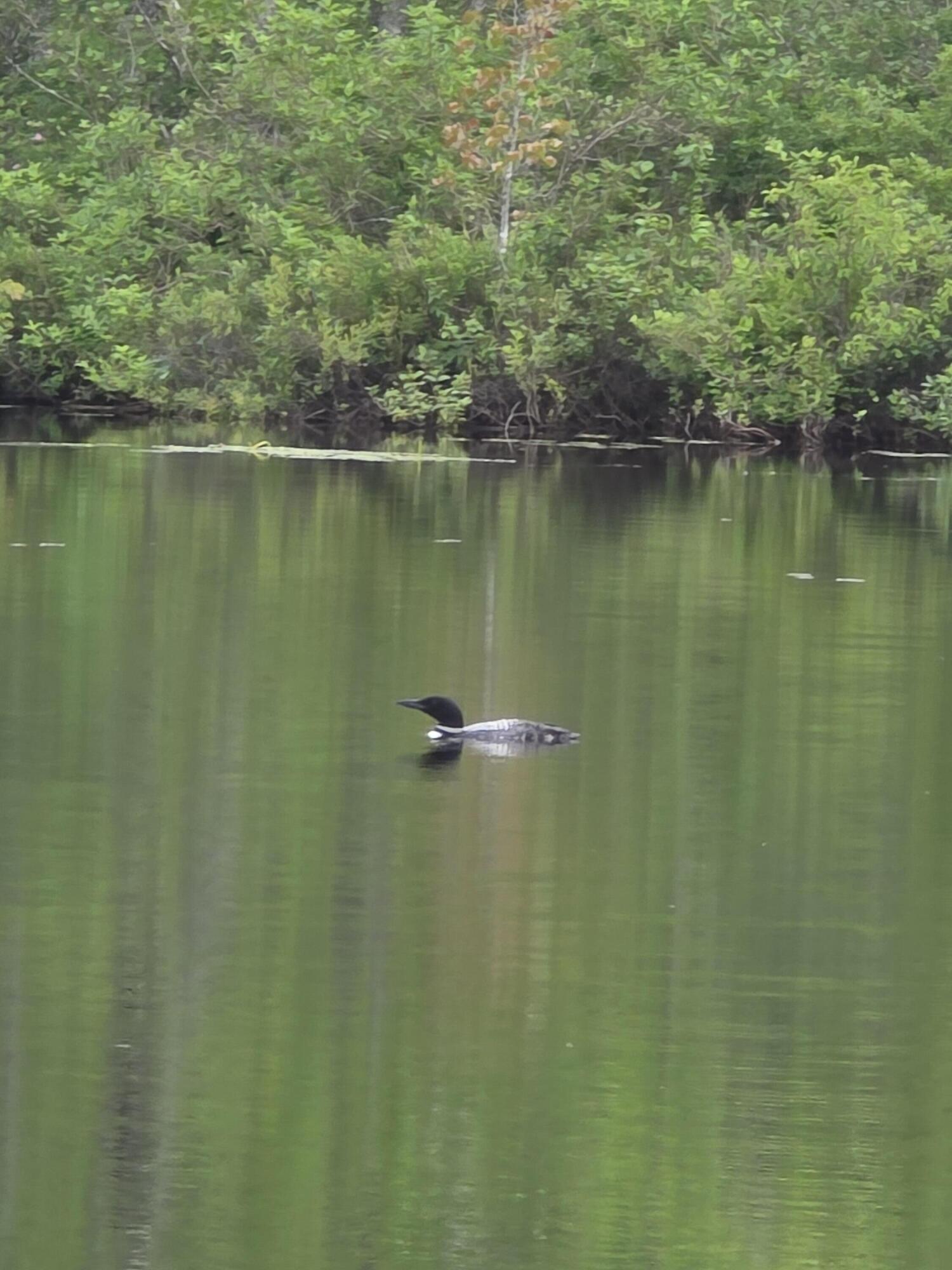 146 Lone Indian Trail Augusta ME 04330