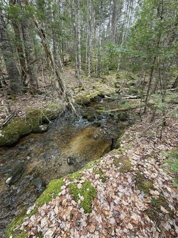 82 Station Road Jonesboro ME 04648