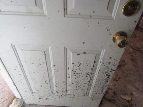 2 Libby Lane Sanford ME 04083