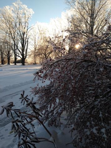 389 Higgins Road Pittsfield ME 04967