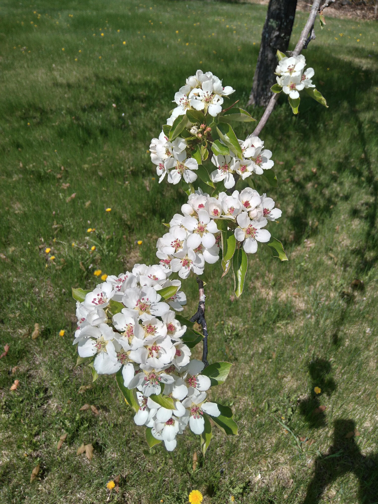 389 Higgins Road Pittsfield ME 04967