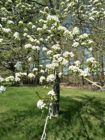 389 Higgins Road Pittsfield ME 04967