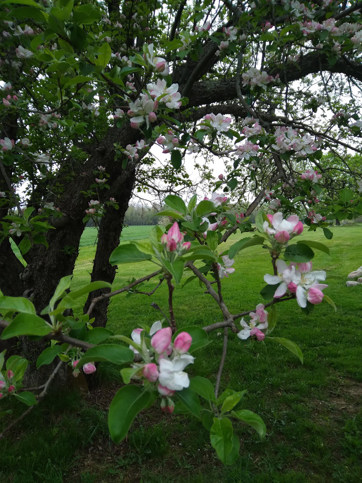 389 Higgins Road Pittsfield ME 04967