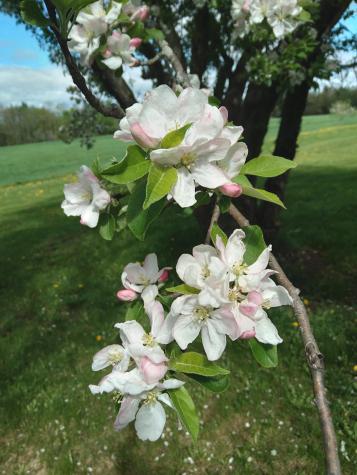 389 Higgins Road Pittsfield ME 04967