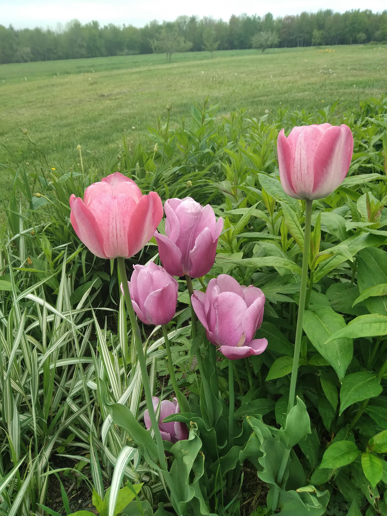 389 Higgins Road Pittsfield ME 04967