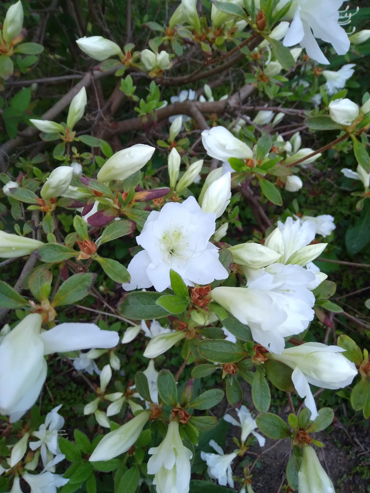 389 Higgins Road Pittsfield ME 04967