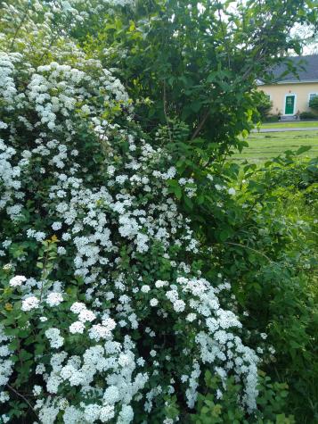 389 Higgins Road Pittsfield ME 04967