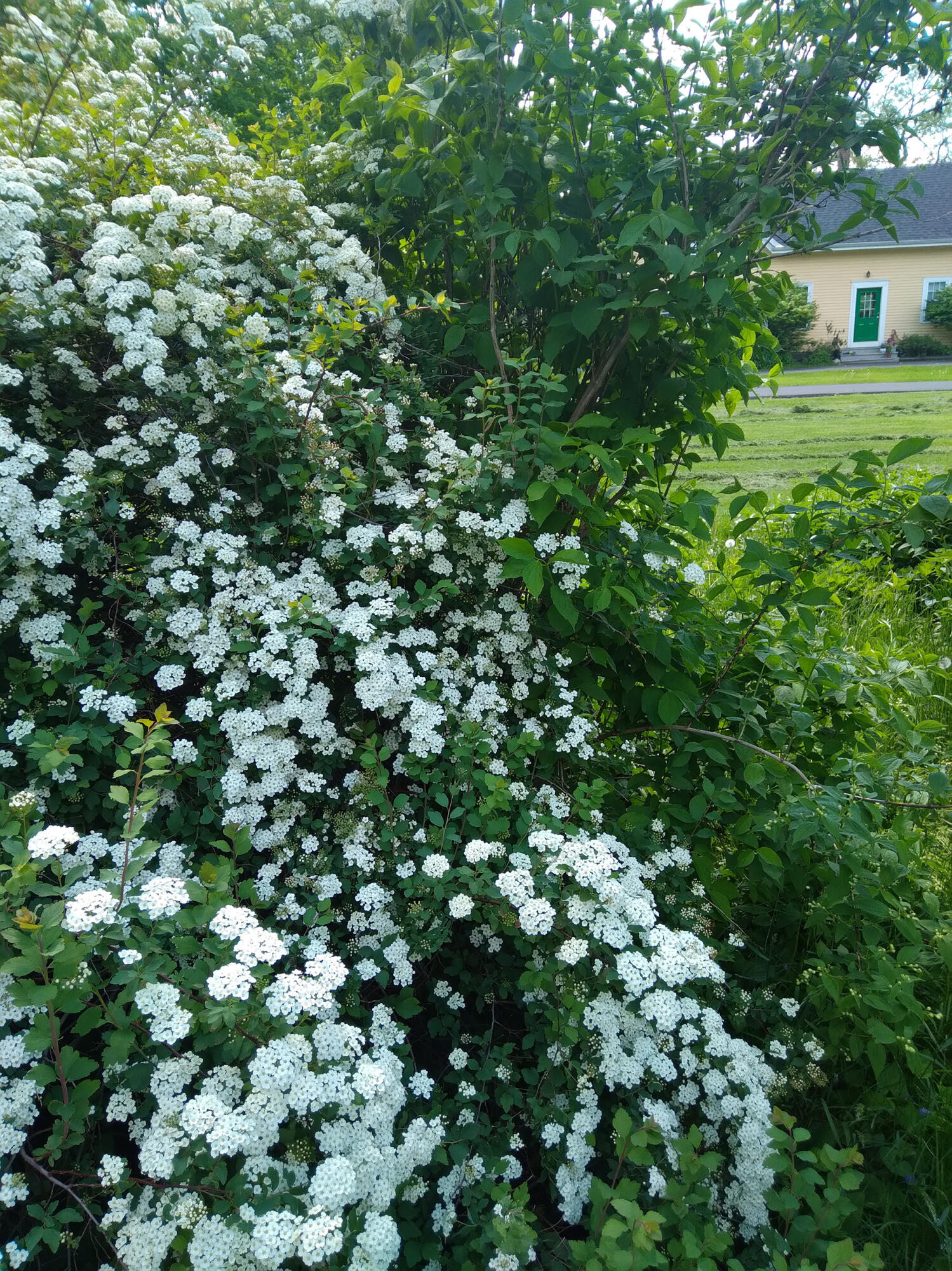 389 Higgins Road Pittsfield ME 04967